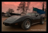 Corvette 1979.DNG